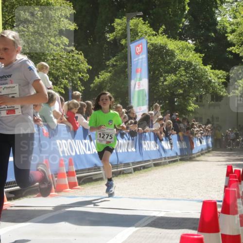 17.05.2025 - Störlauf H.Heesch http://msf.ph/oto/7902225 17.05.2025 14:43:27 Ziel 1275 meine-sportfotos.de
