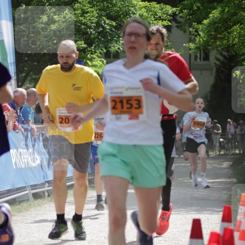 17.05.2025 - Störlauf H.Heesch http://msf.ph/oto/7902309 17.05.2025 15:29:11 Ziel 20, 226, 2153, 1960 meine-sportfotos.de