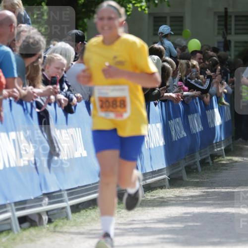 17.05.2025 - Störlauf H.Heesch http://msf.ph/oto/7902421 17.05.2025 15:29:41 Ziel 2088 meine-sportfotos.de
