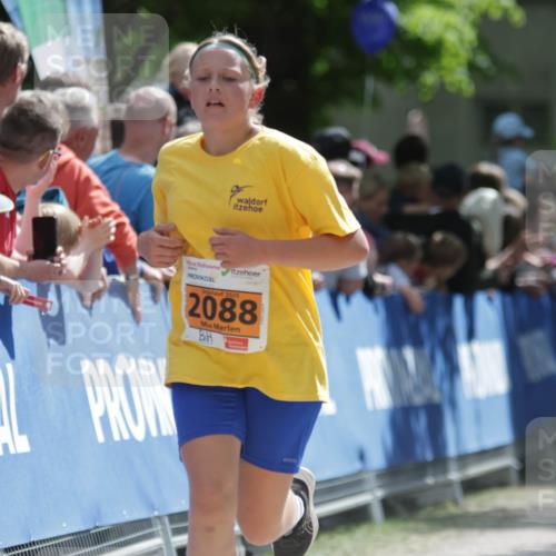 17.05.2025 - Störlauf H.Heesch http://msf.ph/oto/7902429 17.05.2025 15:29:42 Ziel 2025, 2088 meine-sportfotos.de