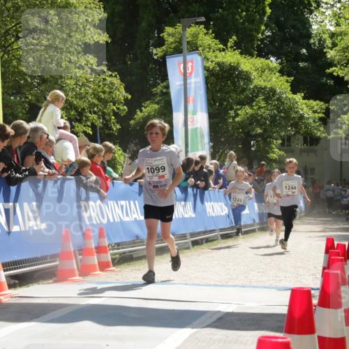 17.05.2025 - Störlauf H.Heesch http://msf.ph/oto/7902474 17.05.2025 14:46:39 Ziel 1099, 199, 190, 1245, 1244 meine-sportfotos.de