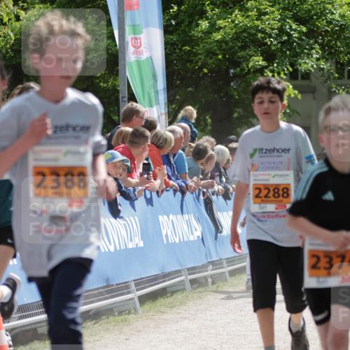 17.05.2025 - Störlauf H.Heesch http://msf.ph/oto/7902523 17.05.2025 15:29:56 Ziel 9, 2388, 2288, 2374 meine-sportfotos.de