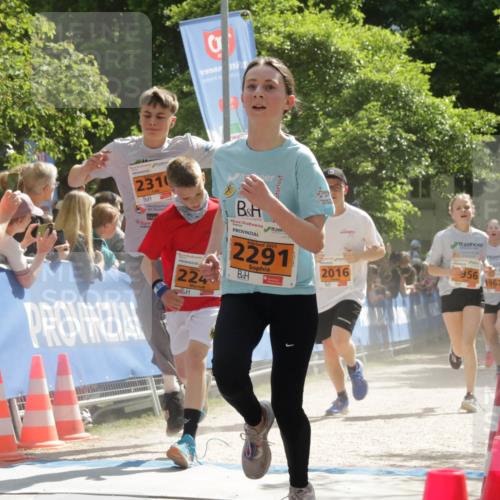 17.05.2025 - Störlauf H.Heesch http://msf.ph/oto/7906482 17.05.2025 15:28:24 Ziel 2310, 1992, 2025, 2291, 2016, 956, 1967, 224 meine-sportfotos.de