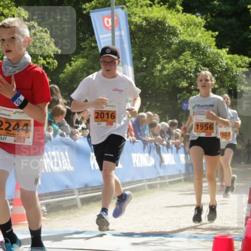 17.05.2025 - Störlauf H.Heesch http://msf.ph/oto/7906486 17.05.2025 15:28:25 Ziel 2025, 2244, 1998, 2016, 1956, 1967 meine-sportfotos.de