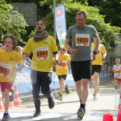 17.05.2025 - Störlauf H.Heesch http://msf.ph/oto/7906562 17.05.2025 15:28:52 Ziel 3, 2341, 2024, 12, 2071, 2025, 1832, 2354 meine-sportfotos.de