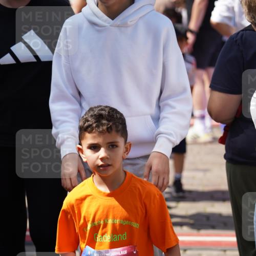 13.06.2025 - Holstenköstenlauf Felixshl http://msf.ph/oto/7921936 13.06.2025 15:03:20 Laufen  meine-sportfotos.de