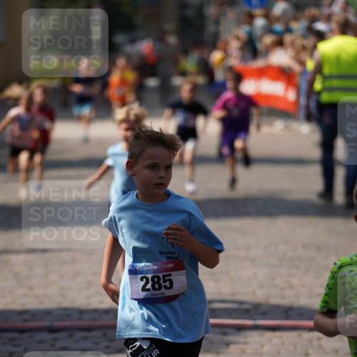 13.06.2025 - Holstenköstenlauf Felixshl http://msf.ph/oto/7922276 13.06.2025 15:36:34 Laufen 29, 76, 282, 285, 427, 1190, 1191, 1287, 1288, 1295 meine-sportfotos.de