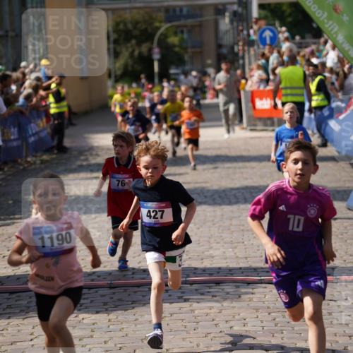 13.06.2025 - Holstenköstenlauf Felixshl http://msf.ph/oto/7922282 13.06.2025 15:36:39 Laufen 76, 282, 418, 427, 566, 1190, 1191, 1290, 1292, 1295, 1901 meine-sportfotos.de