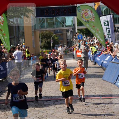 13.06.2025 - Holstenköstenlauf Felixshl http://msf.ph/oto/7922299 13.06.2025 15:36:44 Laufen 284, 418, 422, 423, 558, 566, 674, 679, 943, 1156, 1191, 1290, 1292, 1295, 1901 meine-sportfotos.de