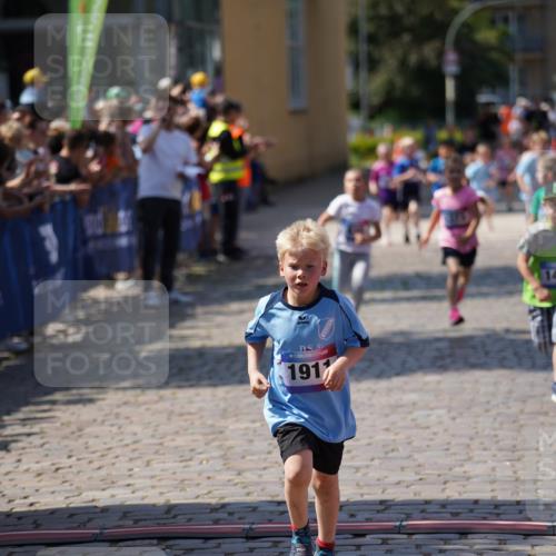 13.06.2025 - Holstenköstenlauf Felixshl http://msf.ph/oto/7922329 13.06.2025 15:37:00 Laufen 281, 830, 1373, 1377, 1379, 1439, 1444, 1810, 1844, 1911 meine-sportfotos.de