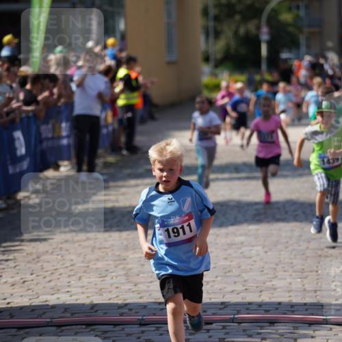 13.06.2025 - Holstenköstenlauf Felixshl http://msf.ph/oto/7922330 13.06.2025 15:37:00 Laufen 281, 830, 1373, 1377, 1379, 1439, 1444, 1810, 1844, 1911 meine-sportfotos.de