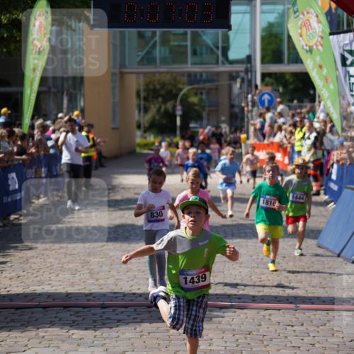 13.06.2025 - Holstenköstenlauf Felixshl http://msf.ph/oto/7922336 13.06.2025 15:37:03 Laufen 30, 59, 281, 667, 829, 830, 1373, 1377, 1439, 1444, 1810, 1842, 1844, 1911 meine-sportfotos.de