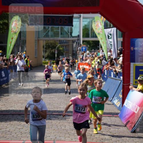 13.06.2025 - Holstenköstenlauf Felixshl http://msf.ph/oto/7922342 13.06.2025 15:37:05 Laufen 30, 59, 281, 667, 829, 830, 1373, 1377, 1439, 1444, 1810, 1842, 1844, 1845 meine-sportfotos.de