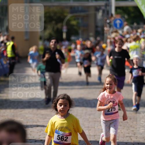 13.06.2025 - Holstenköstenlauf Felixshl http://msf.ph/oto/7922370 13.06.2025 15:37:17 Laufen 183, 275, 424, 562, 827, 1410, 1446, 1845, 1884 meine-sportfotos.de