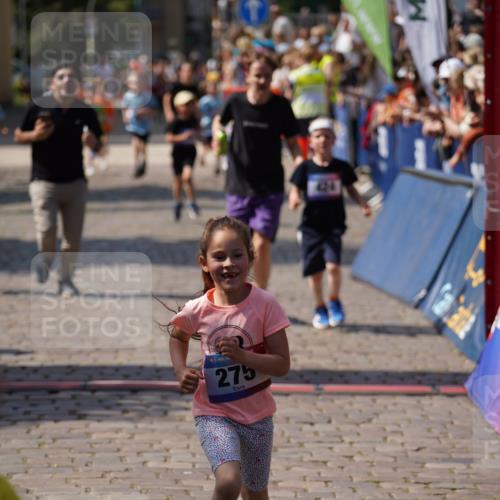13.06.2025 - Holstenköstenlauf Felixshl http://msf.ph/oto/7922375 13.06.2025 15:37:18 Laufen 31, 183, 273, 275, 424, 562, 827, 1410, 1446, 1884 meine-sportfotos.de