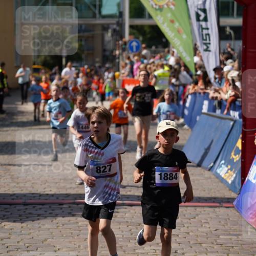13.06.2025 - Holstenköstenlauf Felixshl http://msf.ph/oto/7922397 13.06.2025 15:37:24 Laufen 31, 60, 176, 177, 183, 273, 279, 424, 824, 827, 947, 1378, 1411, 1437, 1441, 1446, 1884 meine-sportfotos.de