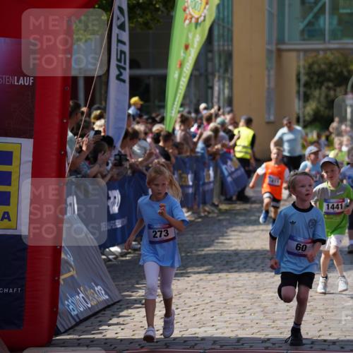 13.06.2025 - Holstenköstenlauf Felixshl http://msf.ph/oto/7922401 13.06.2025 15:37:26 Laufen 31, 44, 60, 176, 177, 273, 279, 824, 827, 947, 1378, 1411, 1437, 1441, 1446, 1447, 1863, 1884 meine-sportfotos.de