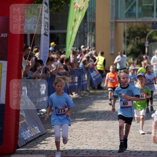 13.06.2025 - Holstenköstenlauf Felixshl http://msf.ph/oto/7922402 13.06.2025 15:37:26 Laufen 31, 44, 60, 176, 177, 273, 279, 824, 827, 947, 1378, 1411, 1437, 1441, 1446, 1447, 1863, 1884 meine-sportfotos.de