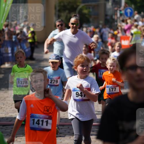 13.06.2025 - Holstenköstenlauf Felixshl http://msf.ph/oto/7922419 13.06.2025 15:37:32 Laufen 44, 84, 177, 279, 286, 824, 947, 1199, 1378, 1411, 1437, 1441, 1447, 1801, 1863 meine-sportfotos.de