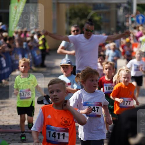 13.06.2025 - Holstenköstenlauf Felixshl http://msf.ph/oto/7922421 13.06.2025 15:37:33 Laufen 44, 67, 84, 177, 279, 286, 824, 946, 947, 1199, 1378, 1411, 1437, 1447, 1801, 1863 meine-sportfotos.de