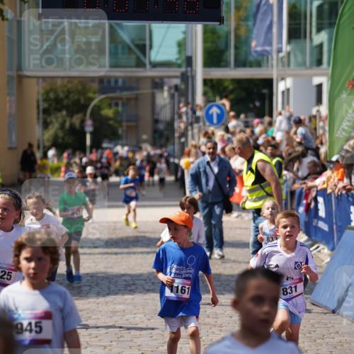 13.06.2025 - Holstenköstenlauf Felixshl http://msf.ph/oto/7922465 13.06.2025 15:37:46 Laufen 3, 825, 831, 833, 945, 1161, 1376, 1414, 1941 meine-sportfotos.de