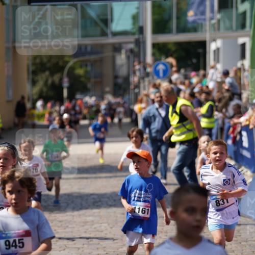 13.06.2025 - Holstenköstenlauf Felixshl http://msf.ph/oto/7922467 13.06.2025 15:37:46 Laufen 3, 825, 831, 833, 945, 1161, 1376, 1414, 1941 meine-sportfotos.de