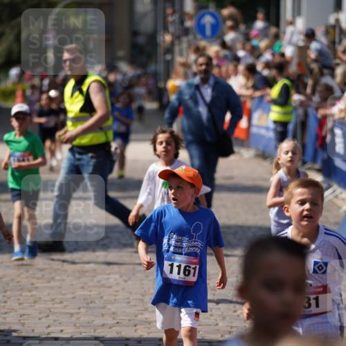 13.06.2025 - Holstenköstenlauf Felixshl http://msf.ph/oto/7922469 13.06.2025 15:37:47 Laufen 3, 825, 831, 833, 942, 945, 1161, 1376, 1414, 1941 meine-sportfotos.de