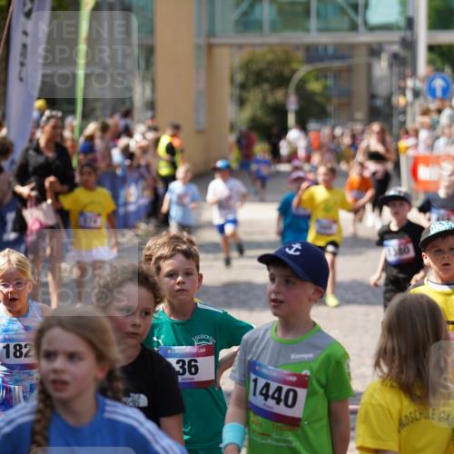 13.06.2025 - Holstenköstenlauf Felixshl http://msf.ph/oto/7922600 13.06.2025 15:38:18 Laufen 32, 178, 283, 417, 419, 560, 564, 670, 819, 1380, 1825 meine-sportfotos.de