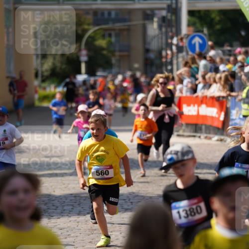 13.06.2025 - Holstenköstenlauf Felixshl http://msf.ph/oto/7922605 13.06.2025 15:38:19 Laufen 32, 178, 283, 417, 419, 560, 564, 670, 819, 1380, 1825 meine-sportfotos.de
