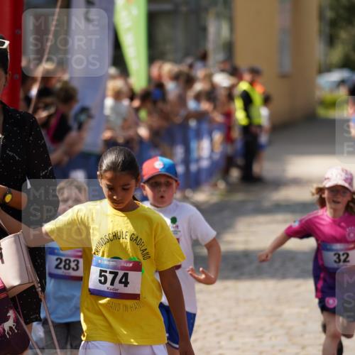 13.06.2025 - Holstenköstenlauf Felixshl http://msf.ph/oto/7922626 13.06.2025 15:38:24 Laufen 32, 178, 283, 419, 560, 670, 819, 1872 meine-sportfotos.de