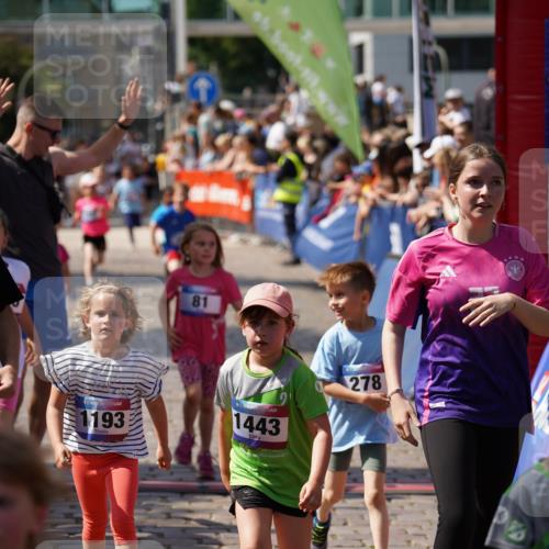 13.06.2025 - Holstenköstenlauf Felixshl http://msf.ph/oto/7922734 13.06.2025 15:38:46 Laufen 16, 81, 87, 98, 101, 278, 565, 569, 678, 948, 1193, 1195, 1201, 1443, 1846, 1897 meine-sportfotos.de