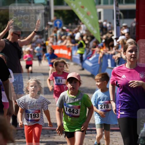 13.06.2025 - Holstenköstenlauf Felixshl http://msf.ph/oto/7922736 13.06.2025 15:38:46 Laufen 16, 81, 87, 98, 101, 278, 565, 569, 678, 948, 1193, 1195, 1201, 1443, 1846, 1897 meine-sportfotos.de