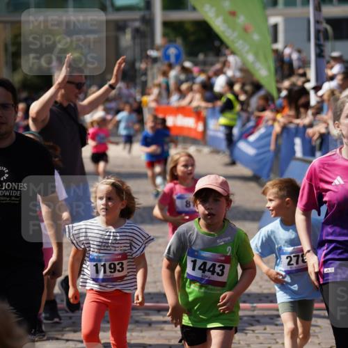 13.06.2025 - Holstenköstenlauf Felixshl http://msf.ph/oto/7922738 13.06.2025 15:38:46 Laufen 16, 81, 87, 98, 101, 278, 565, 569, 678, 948, 1193, 1195, 1201, 1443, 1846, 1897 meine-sportfotos.de