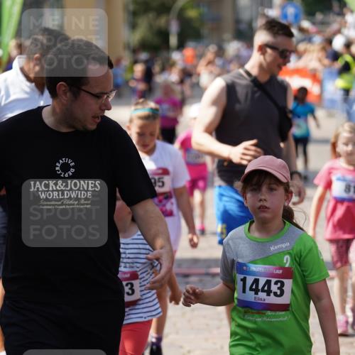 13.06.2025 - Holstenköstenlauf Felixshl http://msf.ph/oto/7922739 13.06.2025 15:38:47 Laufen 16, 81, 87, 101, 278, 565, 569, 678, 948, 1193, 1195, 1201, 1443, 1846, 1897 meine-sportfotos.de