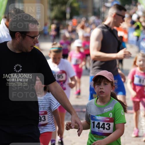 13.06.2025 - Holstenköstenlauf Felixshl http://msf.ph/oto/7922741 13.06.2025 15:38:48 Laufen 81, 87, 101, 271, 278, 431, 565, 569, 677, 678, 948, 1195, 1201, 1846, 1897 meine-sportfotos.de