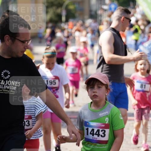 13.06.2025 - Holstenköstenlauf Felixshl http://msf.ph/oto/7922743 13.06.2025 15:38:48 Laufen 81, 87, 101, 271, 278, 431, 565, 569, 677, 678, 948, 1195, 1201, 1846, 1897 meine-sportfotos.de