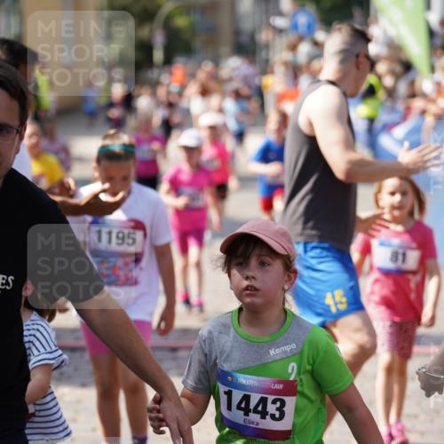 13.06.2025 - Holstenköstenlauf Felixshl http://msf.ph/oto/7922744 13.06.2025 15:38:48 Laufen 81, 87, 101, 271, 278, 431, 565, 569, 677, 678, 948, 1195, 1201, 1846, 1897 meine-sportfotos.de