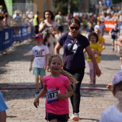 13.06.2025 - Holstenköstenlauf Felixshl http://msf.ph/oto/7922831 13.06.2025 15:39:10 Laufen 13, 47, 86, 185, 186, 561, 571, 822, 823, 828, 1291, 1852, 1853, 1877 meine-sportfotos.de