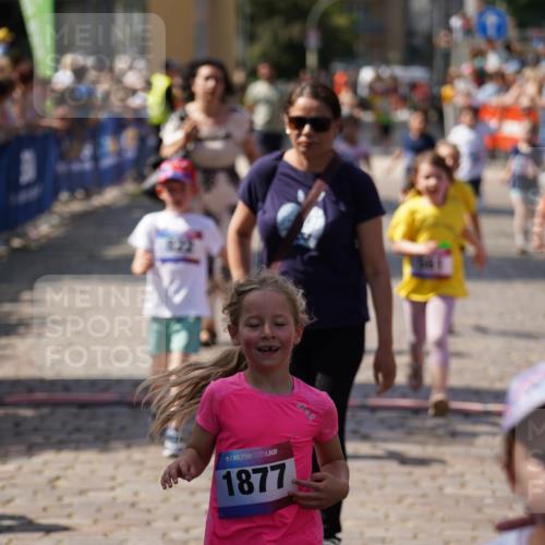 13.06.2025 - Holstenköstenlauf Felixshl http://msf.ph/oto/7922835 13.06.2025 15:39:11 Laufen 13, 47, 86, 185, 186, 561, 571, 822, 823, 828, 1291, 1852, 1853, 1877 meine-sportfotos.de