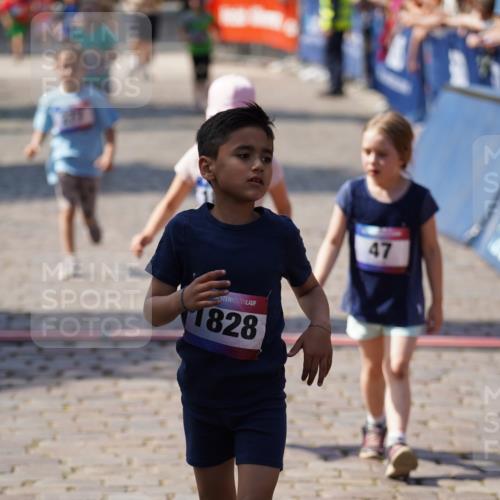 13.06.2025 - Holstenköstenlauf Felixshl http://msf.ph/oto/7922856 13.06.2025 15:39:19 Laufen 47, 277, 828, 1436, 1445, 1853 meine-sportfotos.de
