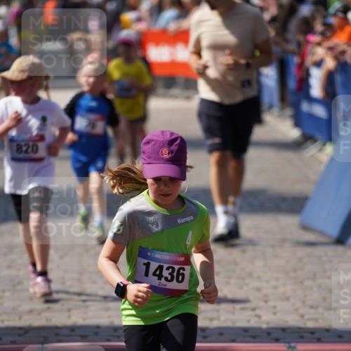 13.06.2025 - Holstenköstenlauf Felixshl http://msf.ph/oto/7922897 13.06.2025 15:39:27 Laufen 70, 90, 568, 668, 669, 820, 1200, 1436, 1445 meine-sportfotos.de