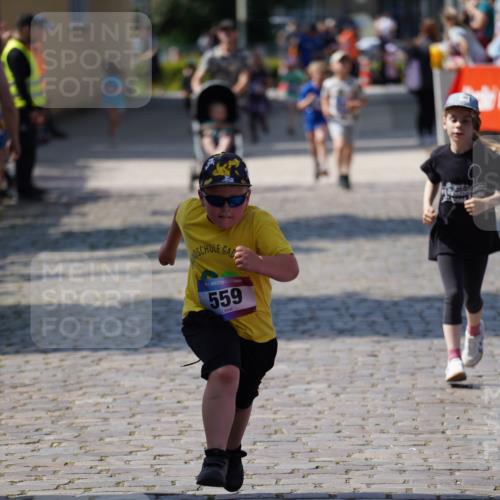13.06.2025 - Holstenköstenlauf Felixshl http://msf.ph/oto/7923010 13.06.2025 15:40:00 Laufen 559, 1194 meine-sportfotos.de