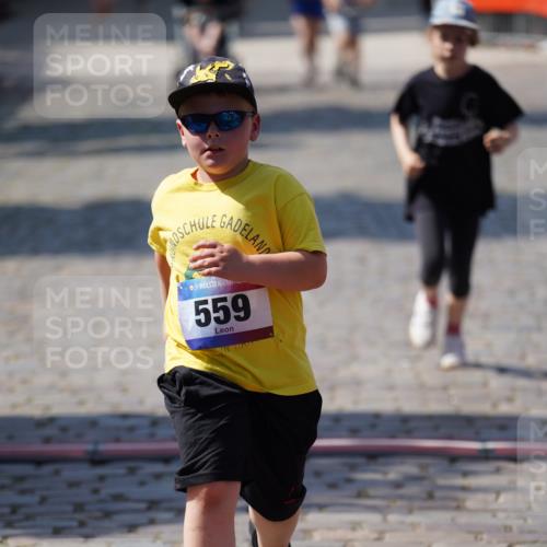 13.06.2025 - Holstenköstenlauf Felixshl http://msf.ph/oto/7923024 13.06.2025 15:40:01 Laufen 559, 1189, 1194 meine-sportfotos.de