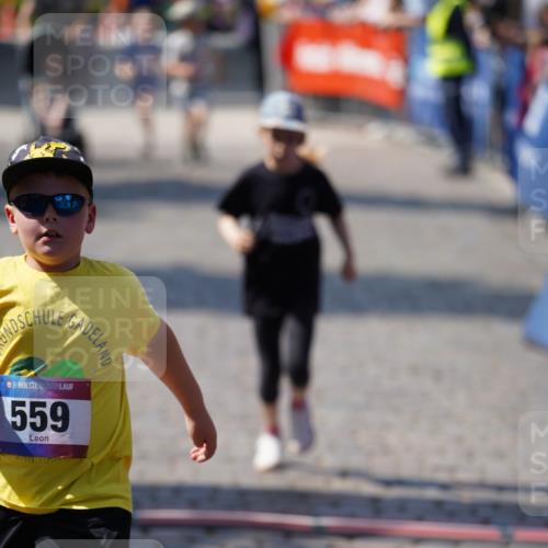 13.06.2025 - Holstenköstenlauf Felixshl http://msf.ph/oto/7923027 13.06.2025 15:40:02 Laufen 559, 1189, 1194, 1822 meine-sportfotos.de