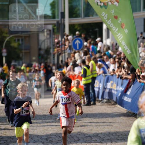 13.06.2025 - Holstenköstenlauf Felixshl http://msf.ph/oto/7923455 13.06.2025 16:06:35 Laufen 171, 449, 466, 587, 590, 602, 1039, 1188, 1283, 1298, 1388 meine-sportfotos.de