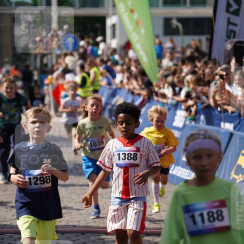 13.06.2025 - Holstenköstenlauf Felixshl http://msf.ph/oto/7923464 13.06.2025 16:06:38 Laufen 171, 296, 307, 321, 449, 462, 466, 587, 590, 698, 1039, 1298, 1388 meine-sportfotos.de