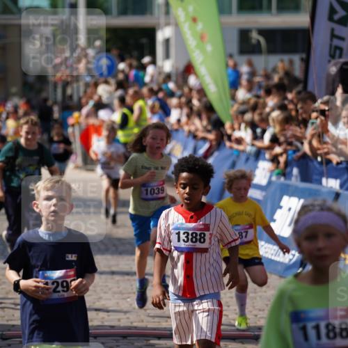 13.06.2025 - Holstenköstenlauf Felixshl http://msf.ph/oto/7923465 13.06.2025 16:06:39 Laufen 171, 296, 307, 321, 462, 466, 587, 590, 698, 1039, 1298, 1388 meine-sportfotos.de