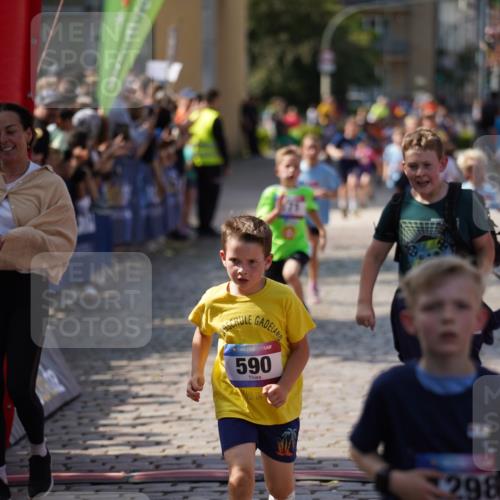 13.06.2025 - Holstenköstenlauf Felixshl http://msf.ph/oto/7923471 13.06.2025 16:06:40 Laufen 171, 296, 307, 321, 462, 466, 587, 590, 698, 1039, 1298, 1384, 1386, 1388 meine-sportfotos.de