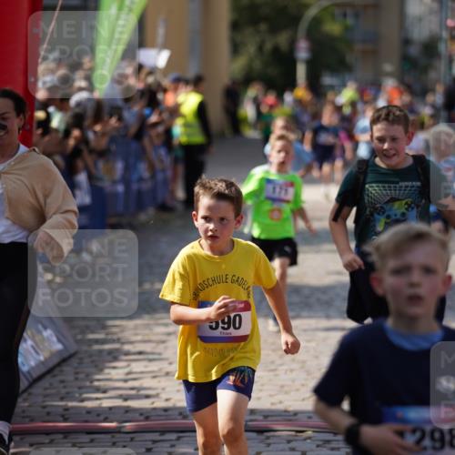 13.06.2025 - Holstenköstenlauf Felixshl http://msf.ph/oto/7923472 13.06.2025 16:06:40 Laufen 171, 296, 307, 321, 462, 466, 587, 590, 698, 1039, 1298, 1384, 1386, 1388 meine-sportfotos.de