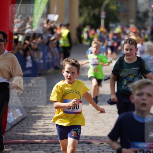 13.06.2025 - Holstenköstenlauf Felixshl http://msf.ph/oto/7923474 13.06.2025 16:06:40 Laufen 171, 296, 307, 321, 462, 466, 587, 590, 698, 1039, 1298, 1384, 1386, 1388 meine-sportfotos.de